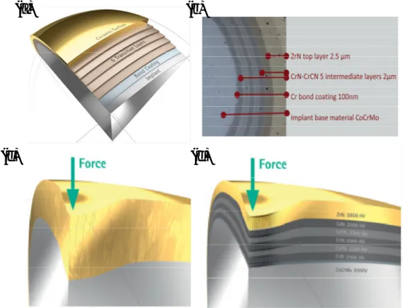 Fig.    2.7  Multilayer  coating  system  in  comparison  with  bilayer  used  for  artificial  knees:  (a)  Enlarged  image  at  a  point  on  artificial  knees,  (b)  Cross-sectional  view  showing  individual  layer  thickness,  (c)  Monolayer  system  