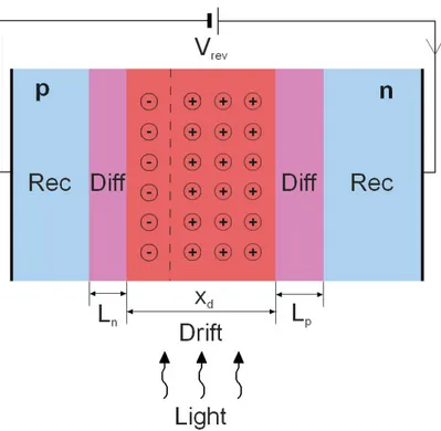 Figure  1.7.  A  reverse  biased  pn-junction  diode  illuminated  by  photons.  The  drift  and  diffusion regions are indicated