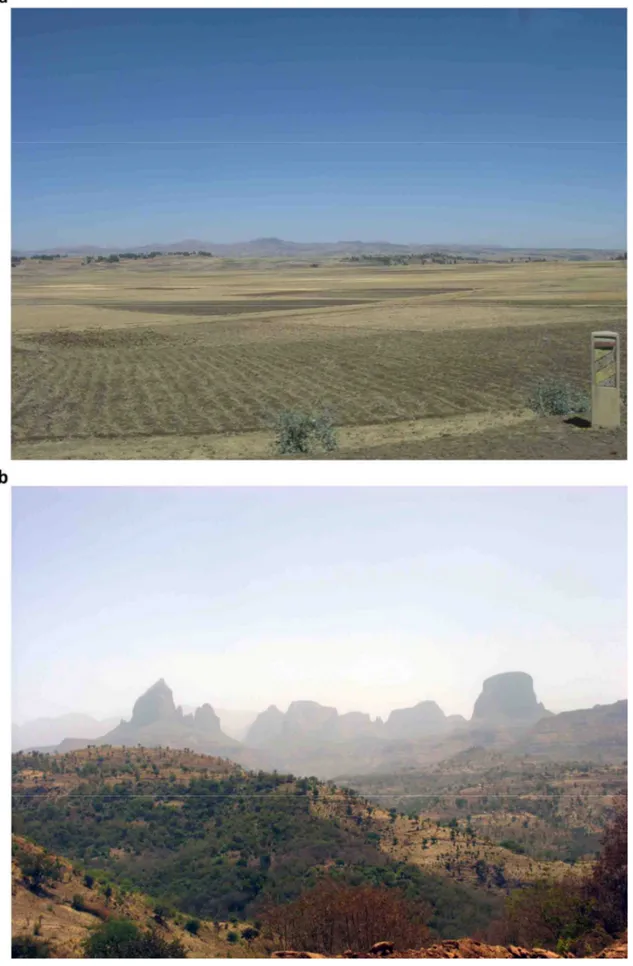 Figure 12 - a) Panoramic view of the plateau landscape; b) Mt. Ras Dashen (4520 m a.s.l.) (Simien National Park)