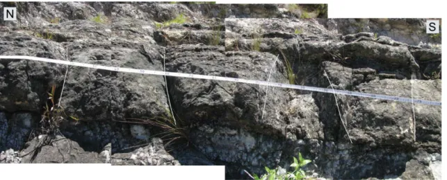 Fig. 3.3 – E-W fractures in the strata of Yacoraite Formation in the area of Anta Yaco 