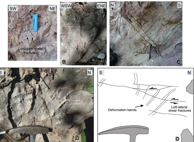 Fig. 3.7 - Examples of structural discontinuities observed in the backlimb of Termas anticline: (a) NNW-