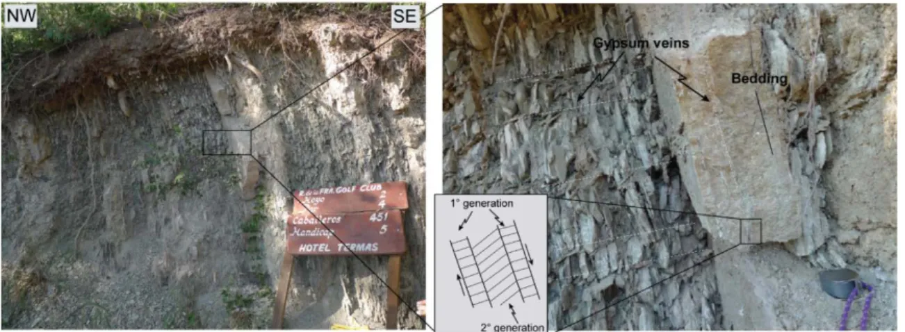 Fig. 3.9 - Three families of gypsum veins in the pelitic layer of Anta Formation (periclinal closure area)