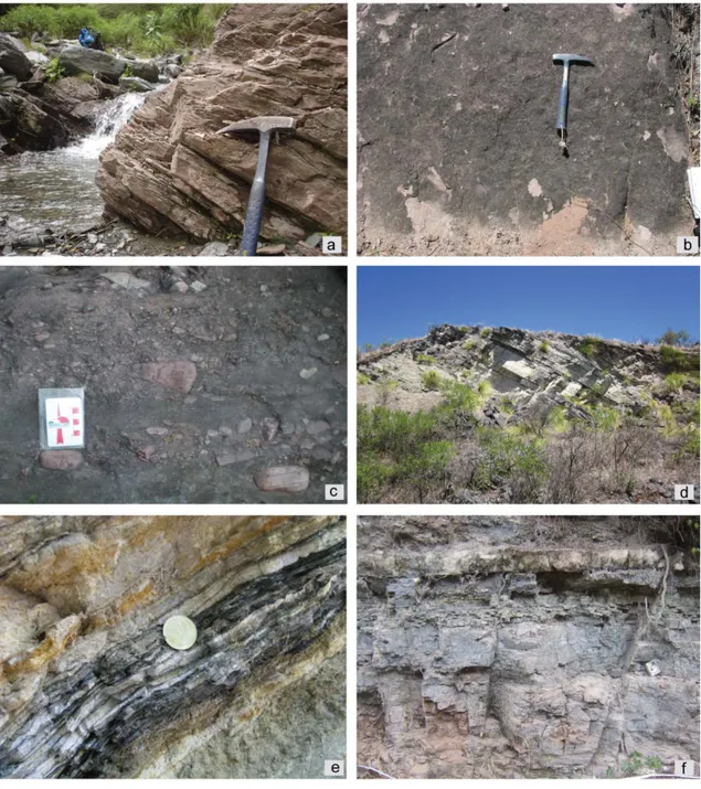 Fig. 4.4 – Outcrops of the studied rocks. (a) Precambrian laminated phyllites of the Medina Formation