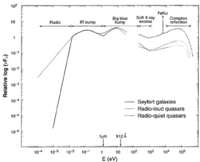 Figure 2.3. SED from radio to X-rays of a Seyfert galaxy, a radio-loud quasar and a radio-quiet quasar (adopted from Koratkar and Blaes (1999))