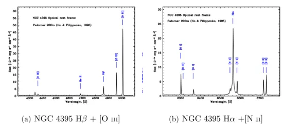 Figure 6.1. Optical spectra of NGC4395 from Ho et al. (1995).The broad components of Hβ (left) and Hα (right) are shown.