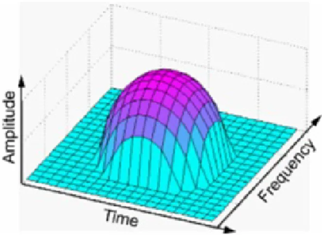 Figure 3.8 shows a typical example of bump modeling of the time-frequency map of an EEG