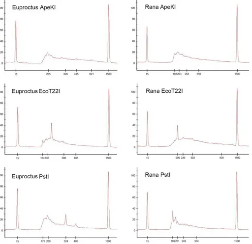 Figure  1.  Fragment  size  distribution  of  GBS  libraries  made  with  a  single  DNA  sample  (left: 