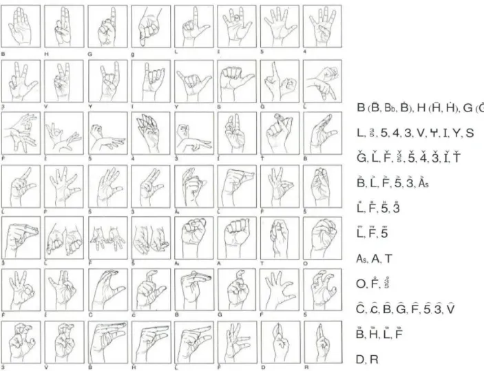 FIGURA 7:  CONFIGURAZIONI DELLA  LIS (R ADUTZKY , 1992) 