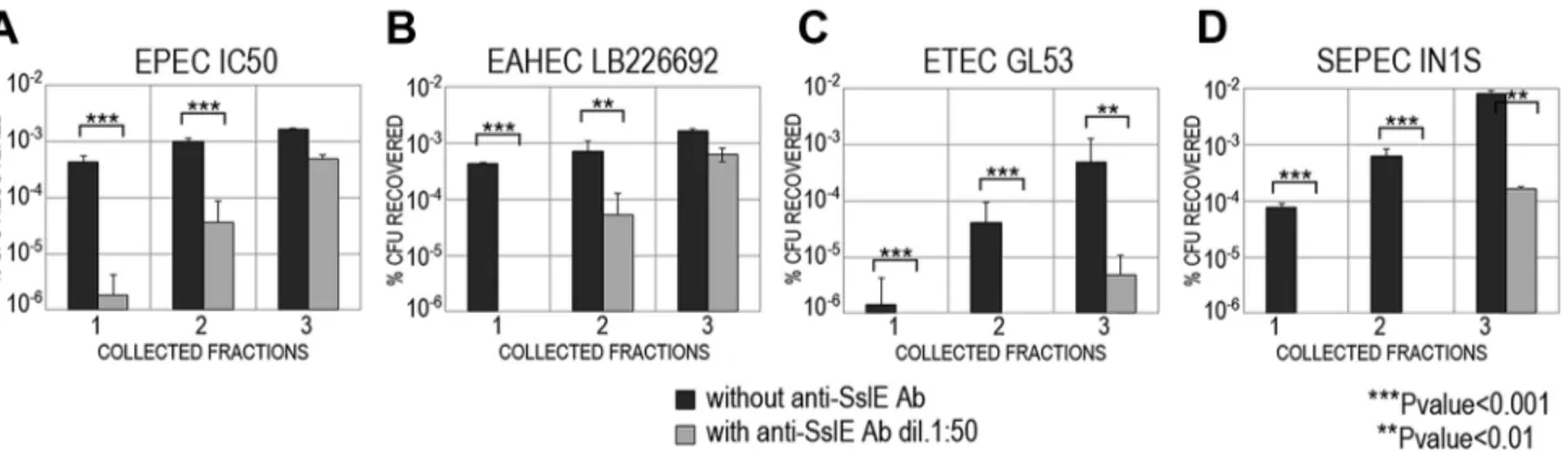 Figure 5. Cross-inhibition of E. coli translocation through a mucin-gel matrix by anti-SslE IHE3034 (belonging to variant I) antibodies