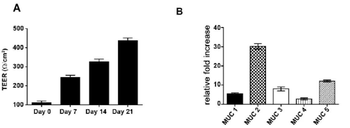 Fig.  3-1.  Kinetics  of  transepithelial  electrical  resistance  in  HT29-MTX  cells  over  a  21  day  period  of  differentiation