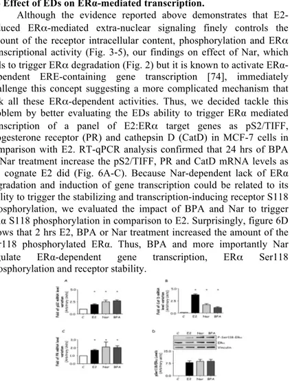 Figure 6: Effect of EDs on ERα transcription and stability. 