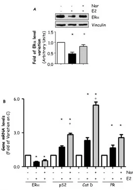 Figure 10: Role of Nar interference on E2-induced ERα control. 