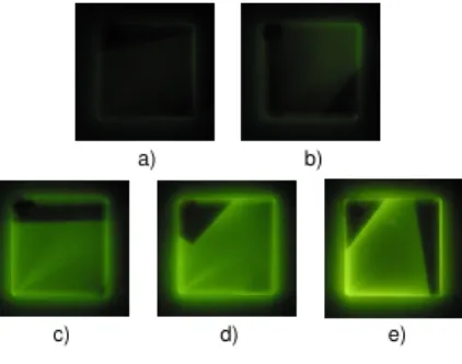 Figure 3.2: Five LiF crystals irradiated for a) 0.5 s, b) 1 s, c) 5 s, d) 10 s and e) 30 s at the synchroton source Anka under blue LED illumination.