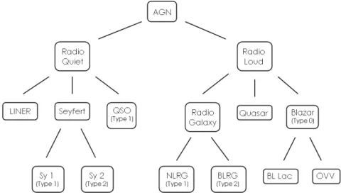 Figure 1.1: AGN taxonomy scheme