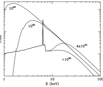 Figure 1.9: The X-ray spectrum of an obscured Seyfert Galaxy, for different