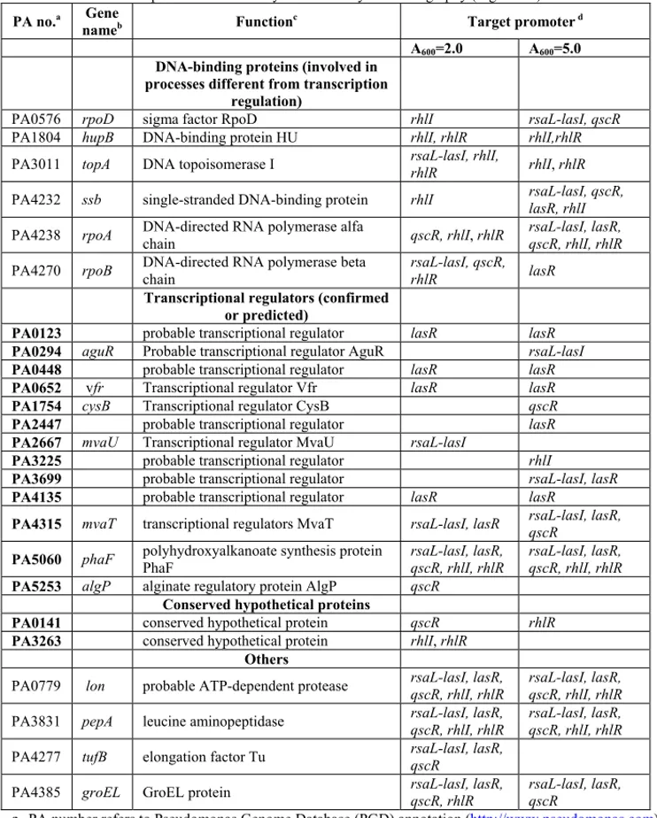 Table 1. List of all the proteins identified by DNA-affinity chromatography (Fig. 9A-E)