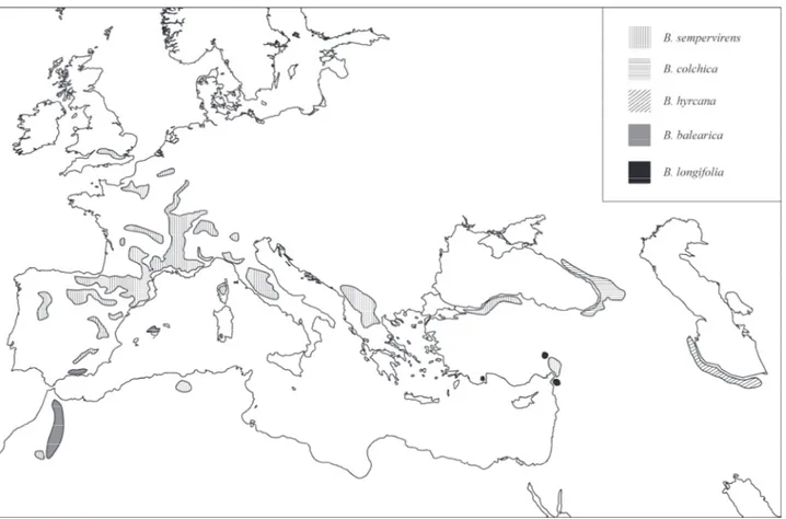 Fig. 1 Distribution map of the five Buxus species considered in the present study. 