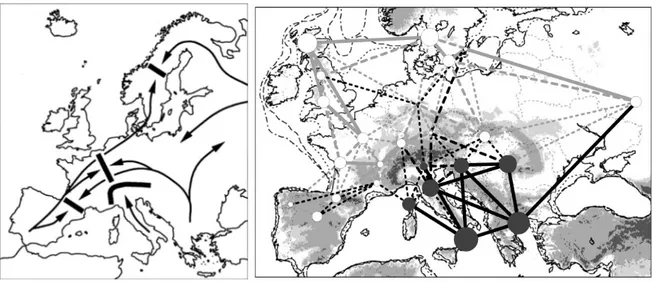Fig. 1 Left: Examples of Mediterranean refugia, main post-glacial colonisation routes and subsequent  suture zones in Europe (Taberlet et al