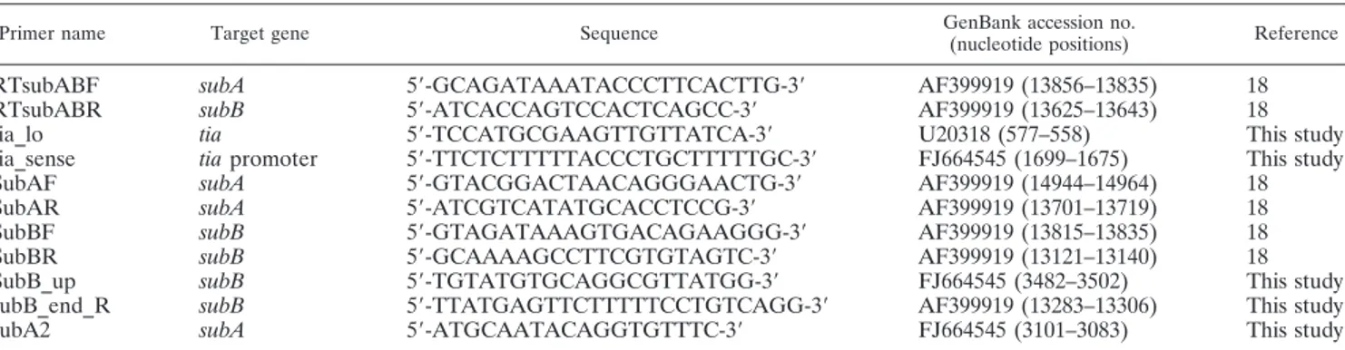 TABLE 1. PCR primers used in this study for subA and subB gene detection and for characterization of the subAB locus
