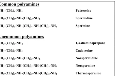 Fig. 1. Structures of common and uncommon polyamines. 