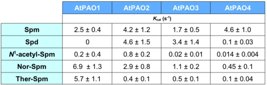 Table 1. Catalytic activity of recombinant AtPAOs and ZmPAO. The enzymatic activity of 