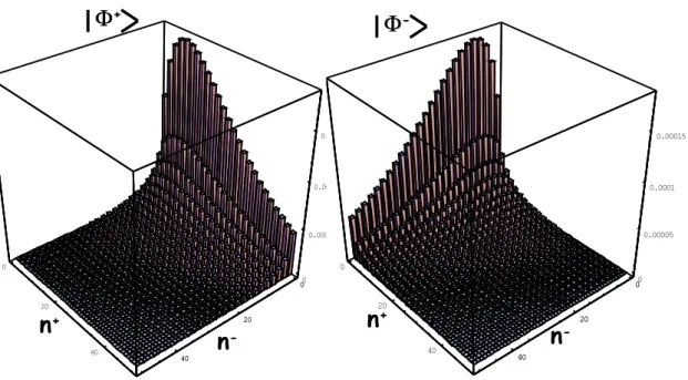 Figure 2.5: Probability distributions of the multi-photon states |Φ + ⟩ and |Φ − ⟩ show a macroscopically different trend as a function of photons polarized π + and π − .