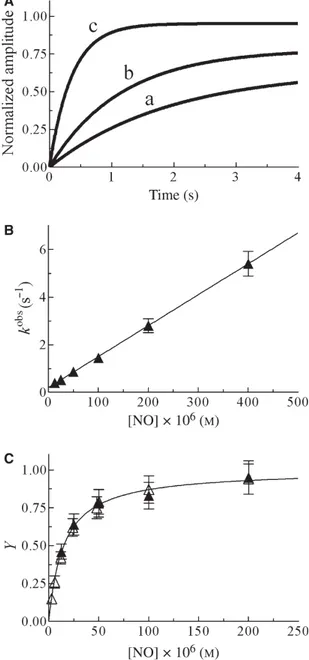 Fig. 1. NO binding to HSA-heme-Fe(III), at pH 5.5 and 20 C. (A) Normalized averaged time courses of HSA-heme-Fe(III)  nitrosy-lation