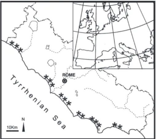 Fig. 1. Study area. Asterisks indicate the sectors that were sampled.