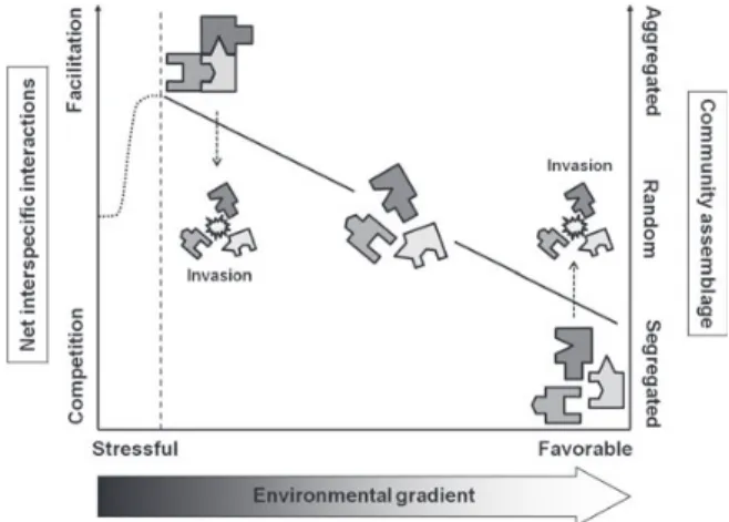 Fig. 1. Theoretical diagram of the stress gradient hypothesis (SGH) and of the predicted effects of invasion on patterns of community assemblage