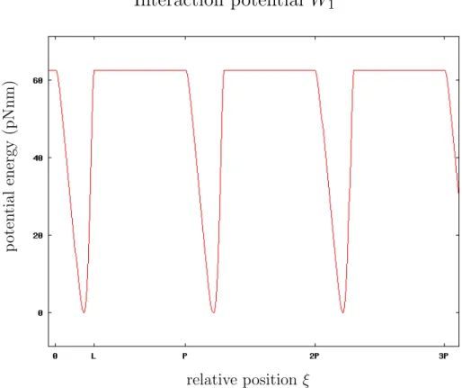 Figure 2.2: Interaction potential vs. F-actin position. T is the period of this periodic potential, while L is the extension of the potential hole