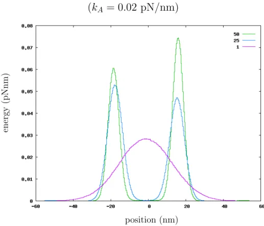 Figure 2.8: The histogram of the F-actin position is traced for different values of k M /k A (key in figure) and k A = 0.02 pN/nm