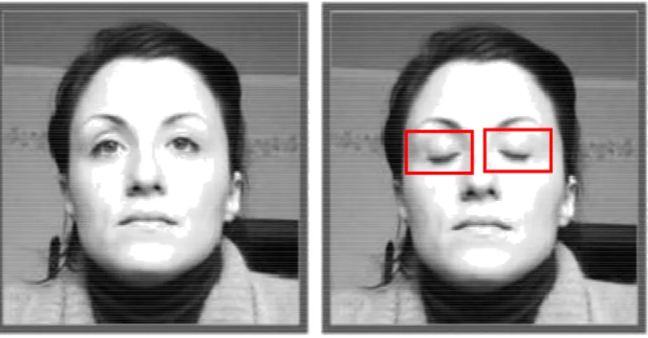 Figure 3.6 – Blink detection can easily serve to detect the location of the eyes by individuating  the regions of high movement