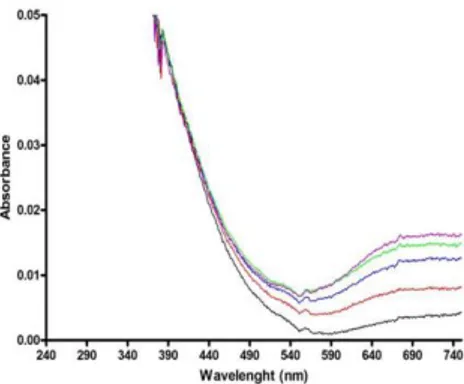 Figure 9. Optical spectra of wt CPC (0.13 mM in Tris-HCl 20 mM, pH 8.0) in the 