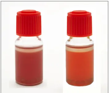 Figure 7: Change of colour of MBS vials for the detection of  E. coli with lactose negative Enterobacteria without 