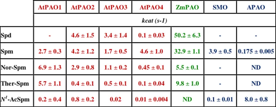 Table 1. Catalytic activity of recombinant AtPAOs, ZmPAO SMO and APAO. Data were 