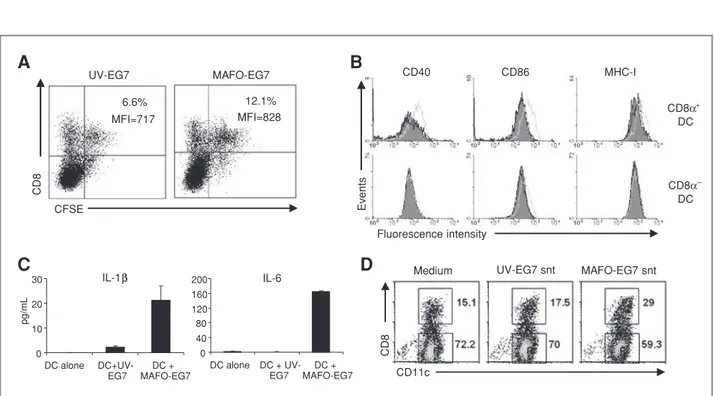 Figure 4. MAFO-EG7 cell uptake by DC. A, naive DC were cocultured with CFSE-labeled MAFO-EG7 or UV-EG7 cells