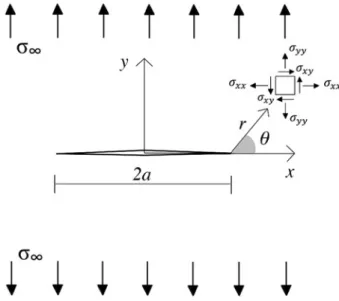 Figure 2.2: Straight crack within an infinite plate under biaxial tensile stress: stress field at the crack tip.