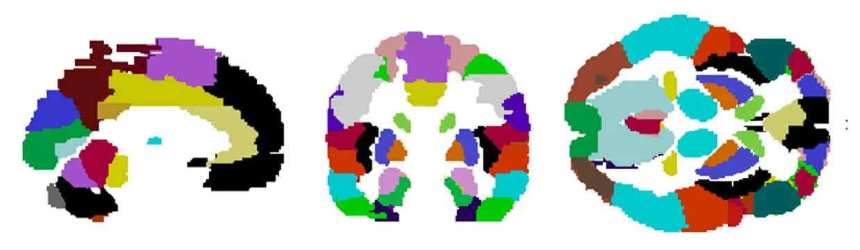 Figure 2.9 – The Tzourio-Mazoyer digital atlas, used to obtain neuroanatomical labels, is a 