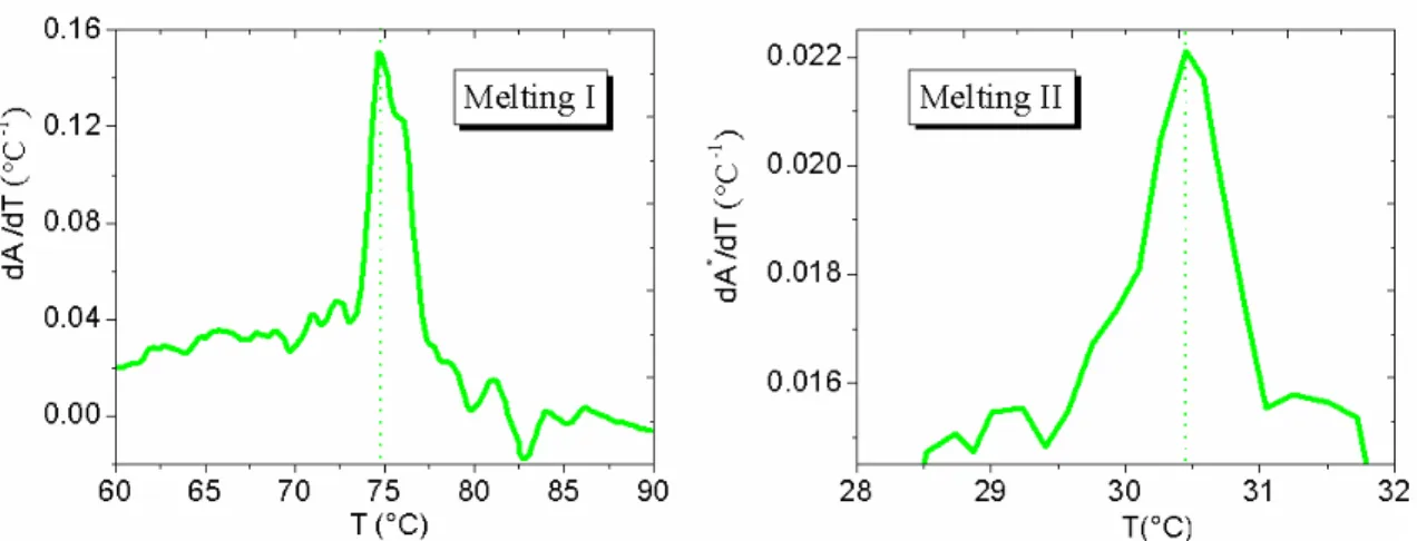 Figure 4.9: First derivative of the absorbance signal for both the observed melting processes (500 mM NaCl).