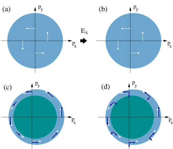 Figure 5.1: (a), (b) – The Fermi surface shift, δp = |e|Eτ, due to an applied elec- elec-tric field along the x-direction