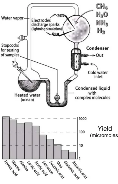 Figure 1.1 Stanley Miller’s experiment. The assumption was a strongly 