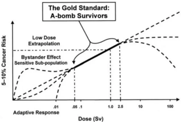 Figure  11:  Risk  assessments  in  function  of  the  equivalent  dose  (§  1.6):  possible  deviations from linearity in the extrapolations of high and low-dose range (courtesy  INFN)