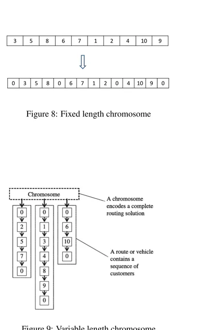 Figure 8: Fixed length chromosome