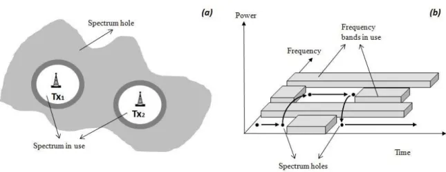 Figure 2-3 Spectrum holes: (a) Spectrum holes in the space domain, (b) spectrum holes in the time-frequency  domain 