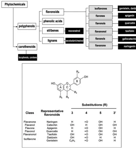 Figure 1.3: Schematic model and chemical structure of flavonoids.  Subdivision of bioactive compounds from plants present in foods (top  panel)