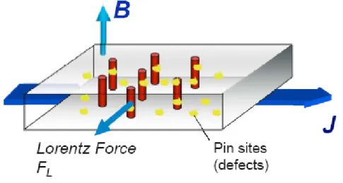 Figura 1.14: Direzione della forza di Lorentz agente sui flussoni del reticolo.