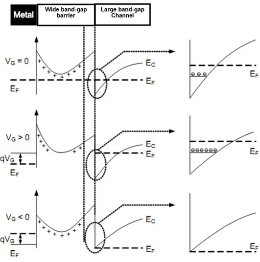 Figura  2-3:  Modulazione  della  concentrazione  della  densità  di  carica  e  della  configurazione  elettronica da parte del potenziale di Gate