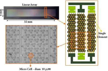 Figura 2.4: In alto a sinistra Array Lineare a 128 elementi; riquadro a destra: ingrandimento degli elementi; in basso immagine al microscopio delle Micro Celle