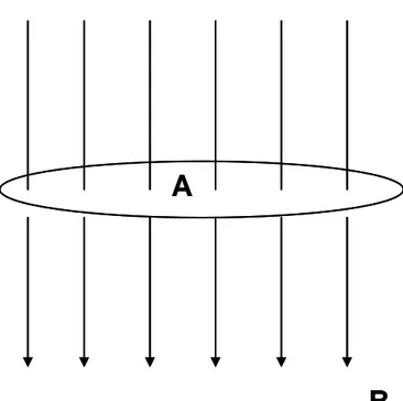 Figura 1.4 - Rappresentazione delle linee di campo B  su una spira di area A.  In questo caso θ=0 