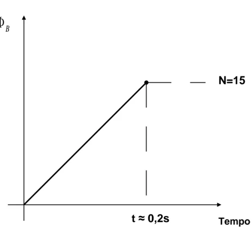 Figura 1. 7 - Andamento ideale del flusso di campo magnetico in presenza di  N =15 spire, con t ≈ 0.02 s